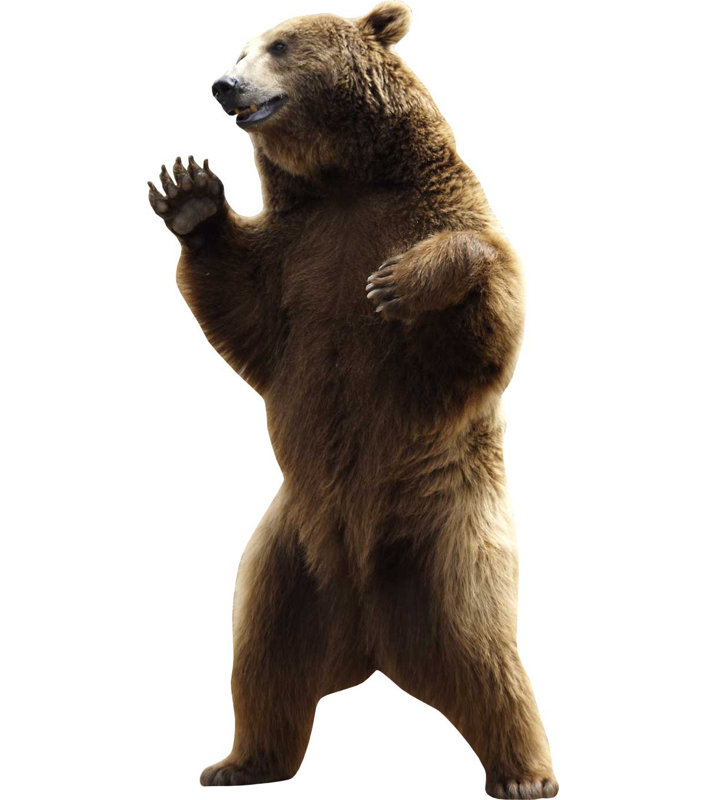 Zoomie Kids Bear Cutout Wall Decal Wayfair